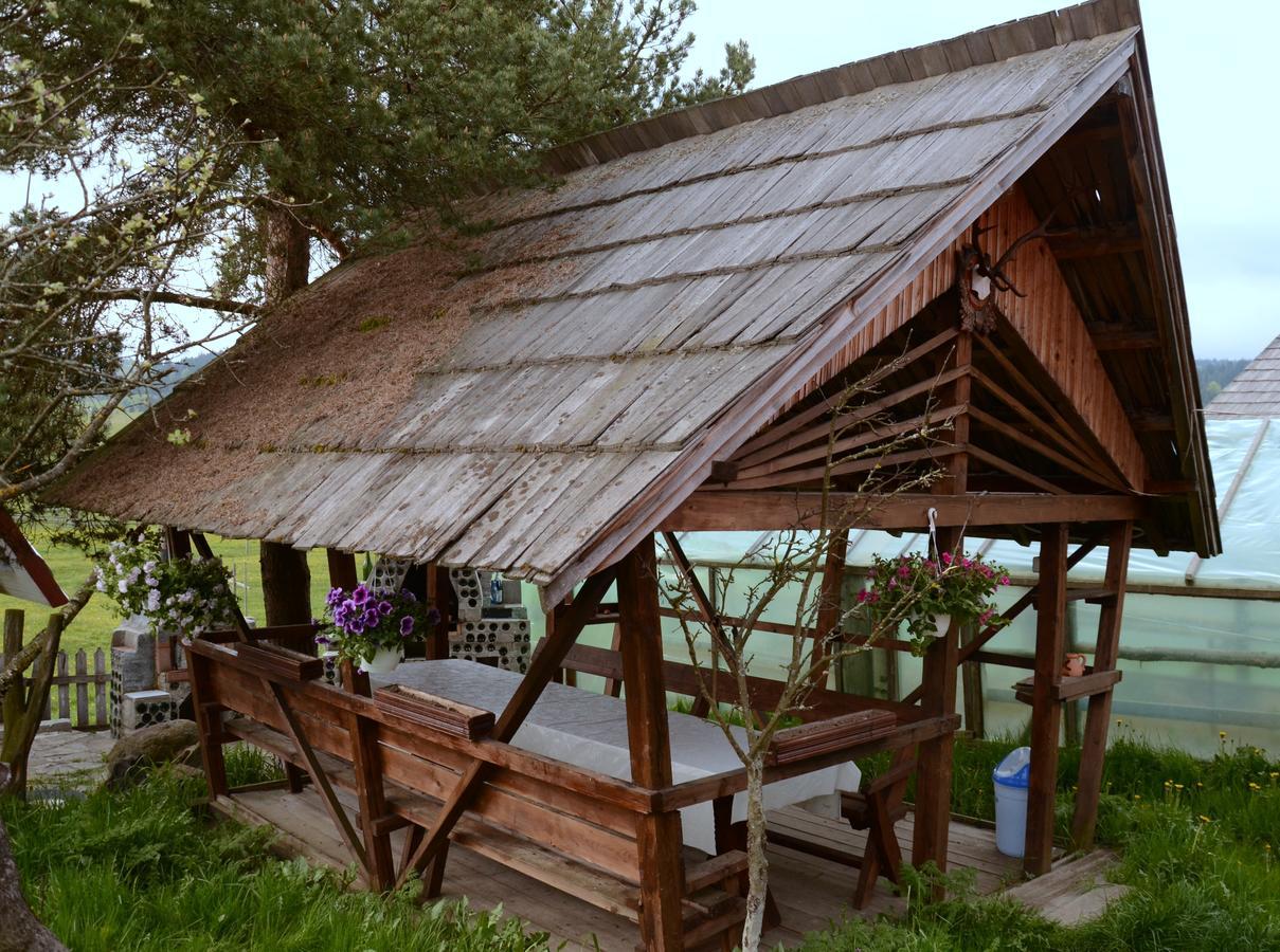 Casa Florea Poiana Stampei Kültér fotó