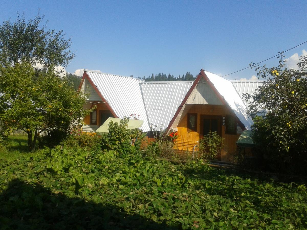 Casa Florea Poiana Stampei Kültér fotó