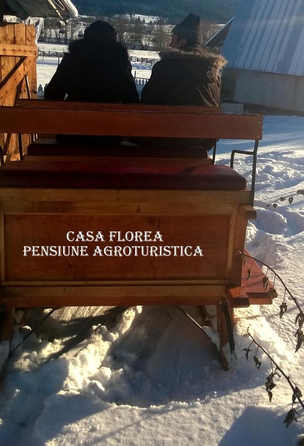 Casa Florea Poiana Stampei Kültér fotó