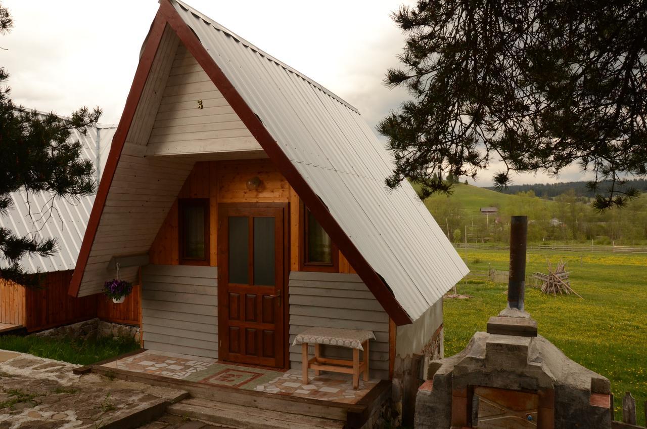 Casa Florea Poiana Stampei Kültér fotó