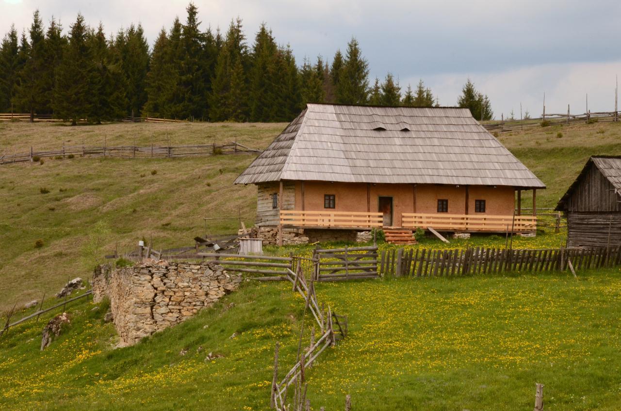 Casa Florea Poiana Stampei Kültér fotó