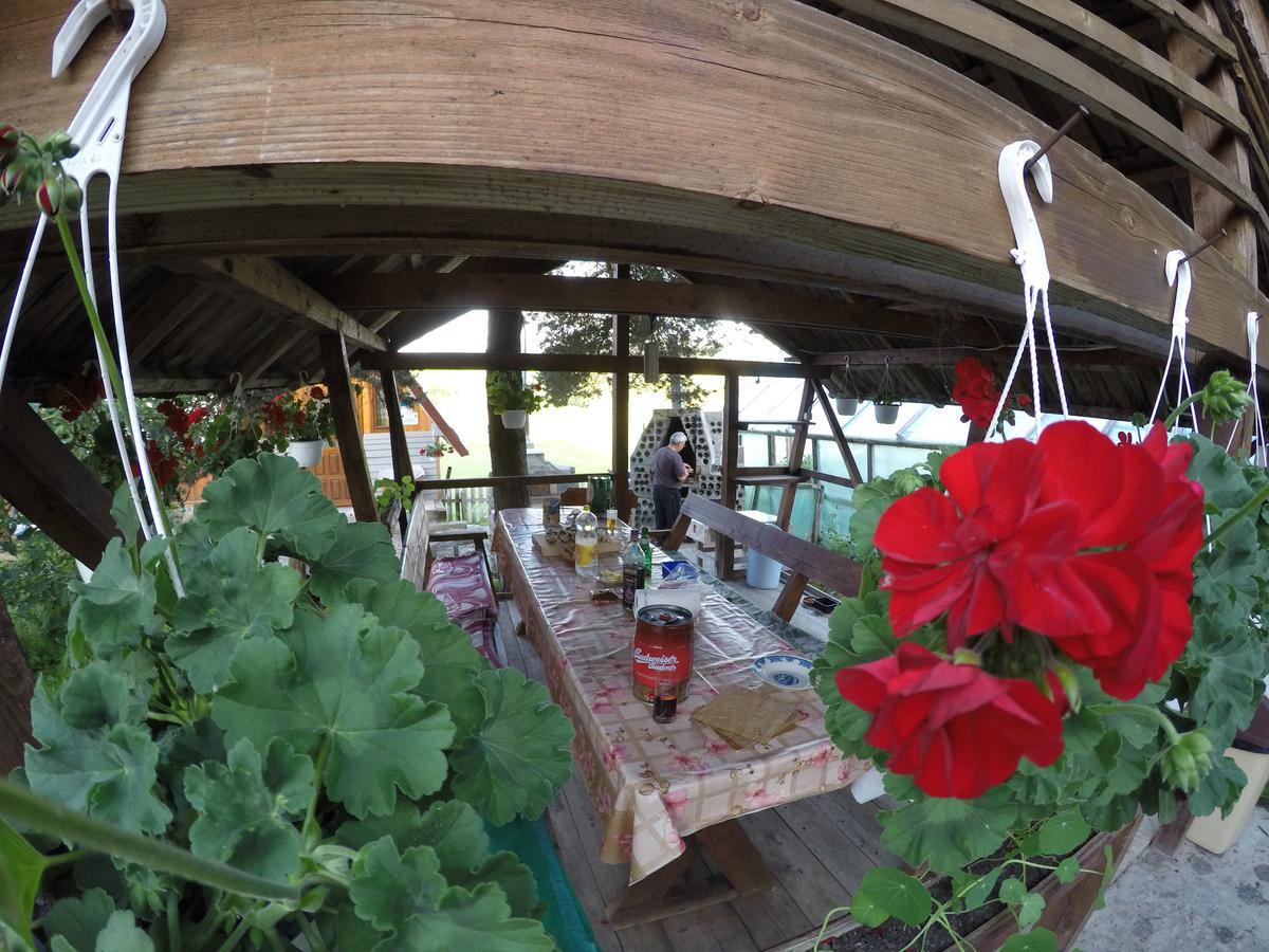 Casa Florea Poiana Stampei Kültér fotó