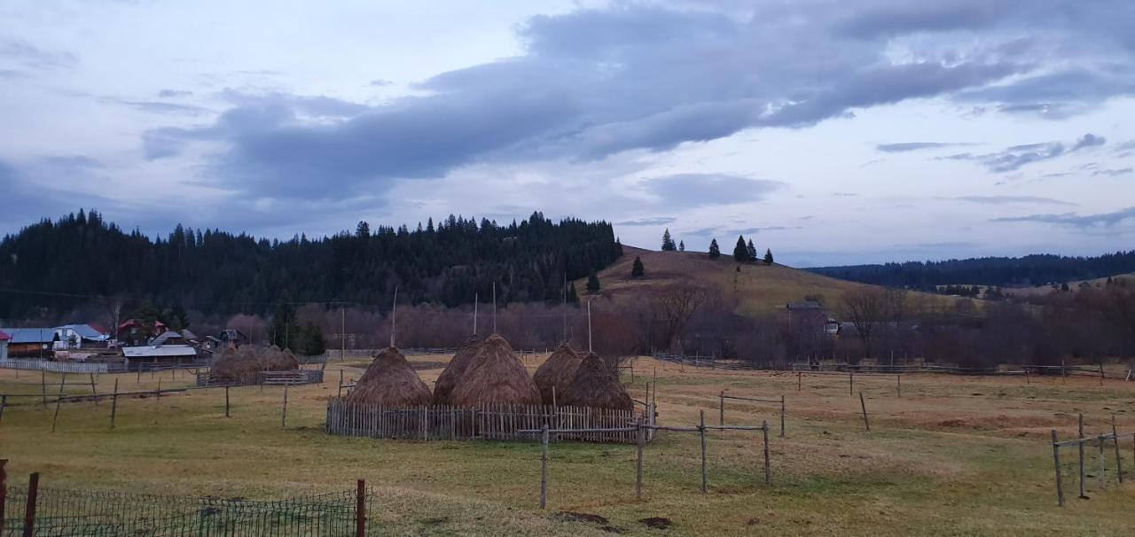 Casa Florea Poiana Stampei Kültér fotó