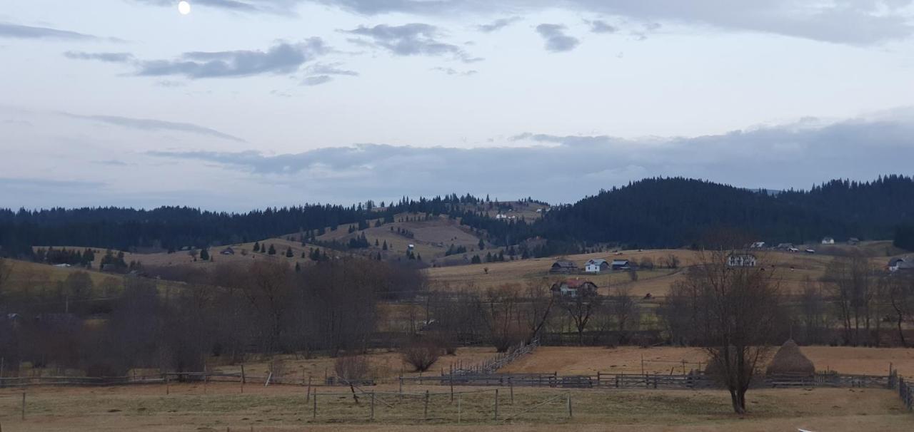 Casa Florea Poiana Stampei Kültér fotó