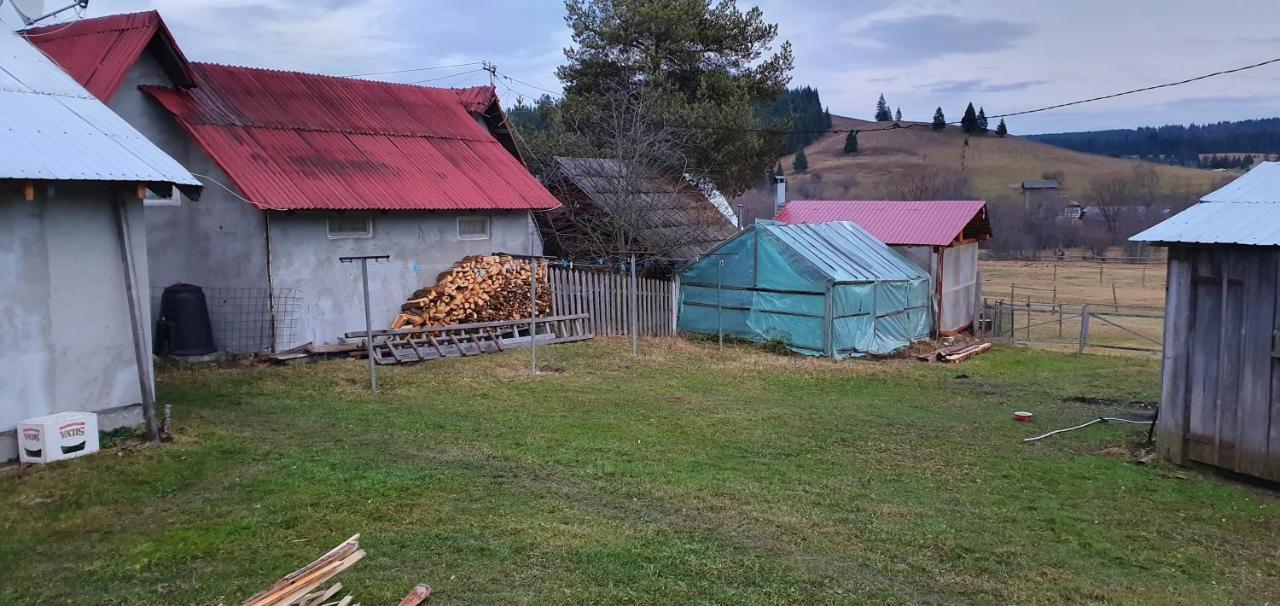 Casa Florea Poiana Stampei Kültér fotó